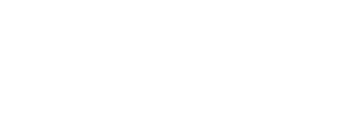 Löwe Projekt Kft